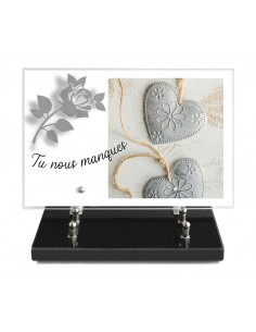 PLAQUE IMPRIMEE 20X30 +...