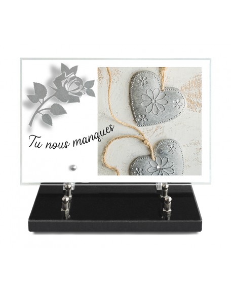 PLAQUE IMPRIMEE 20X30 + MOTIF INOX ROSE